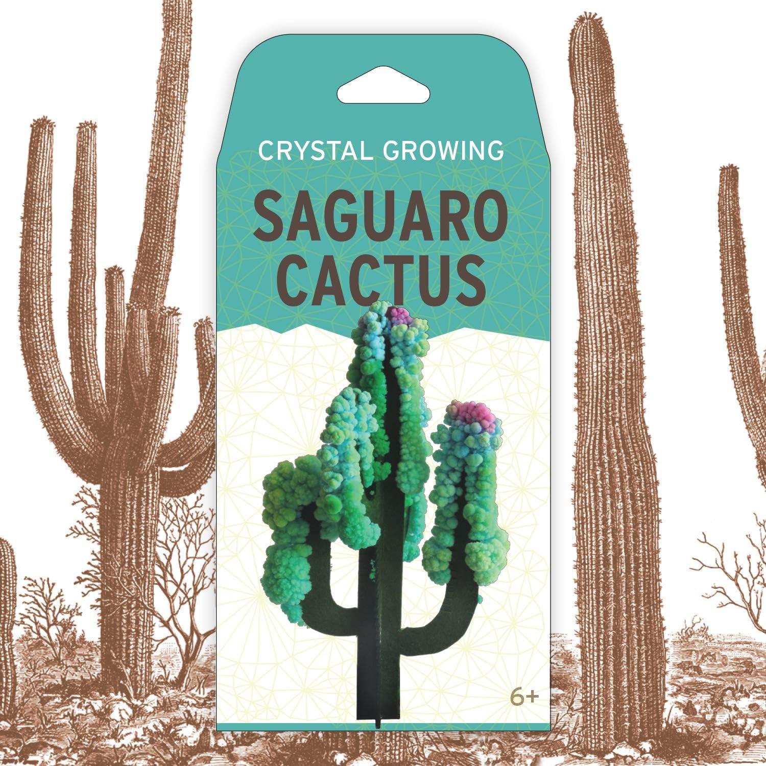 Kit de Crecimiento de Cristales Cactus Saguaro Copernicus