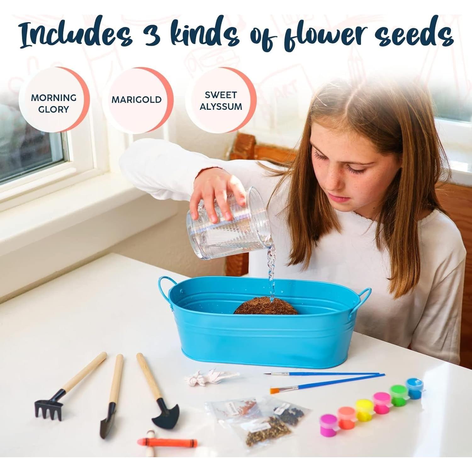 Kit de Terrario de Hadas BRYTE para Niños - Jardín Creativo