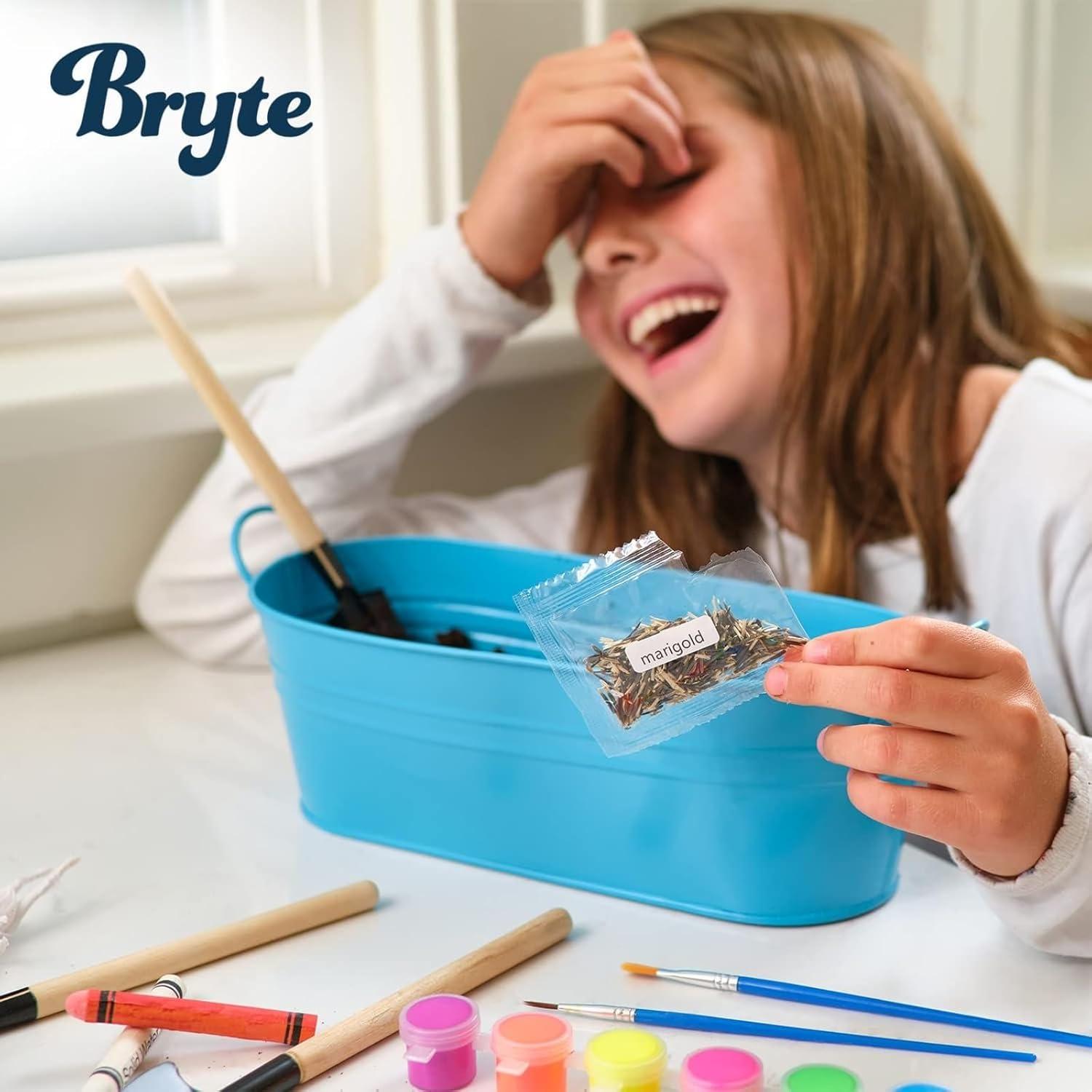 Kit de Terrario de Hadas BRYTE para Niños - Jardín Creativo