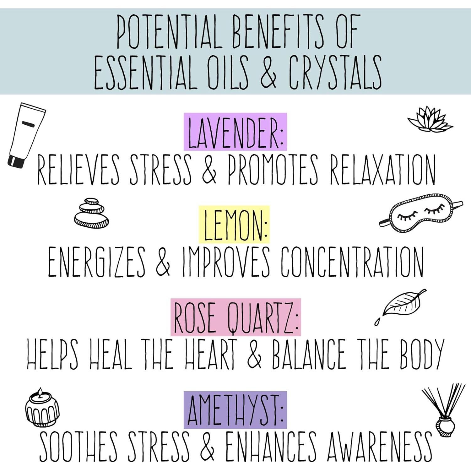 Kit de Terrario de Cristal D.I.Y. STMT para Niños 8+