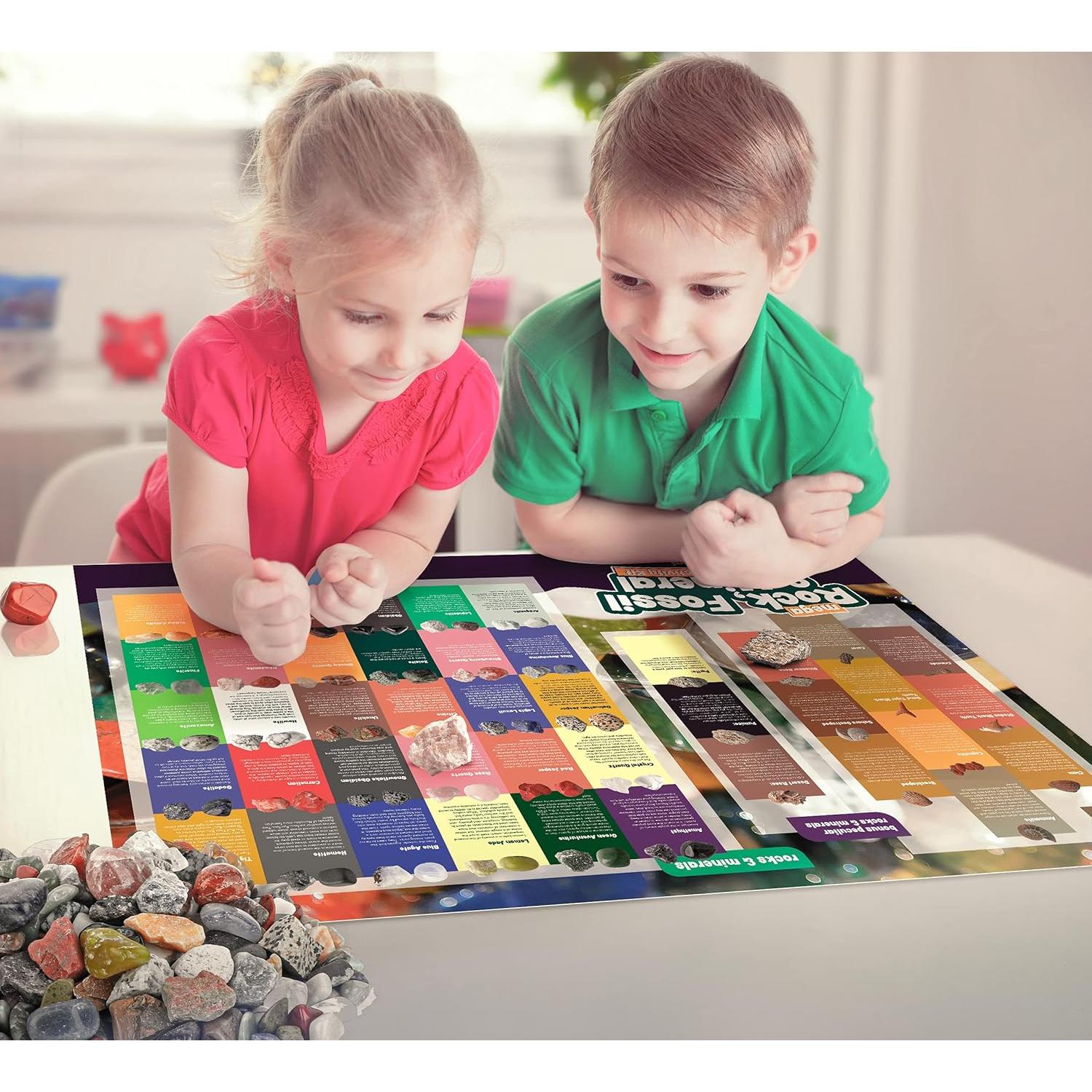 Kit de Rocas y Fósiles Dan&Darci - 250+ Gemas y Minerales