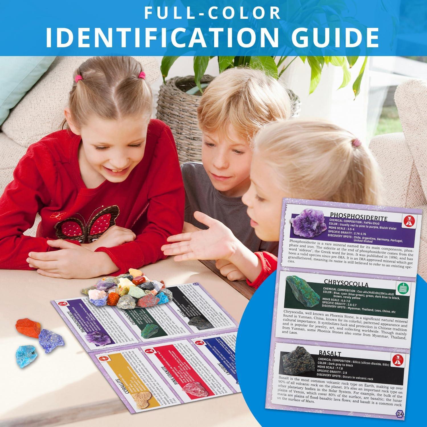 Kit de Colección de Rocas PIBEX - 54 Piezas con Guía