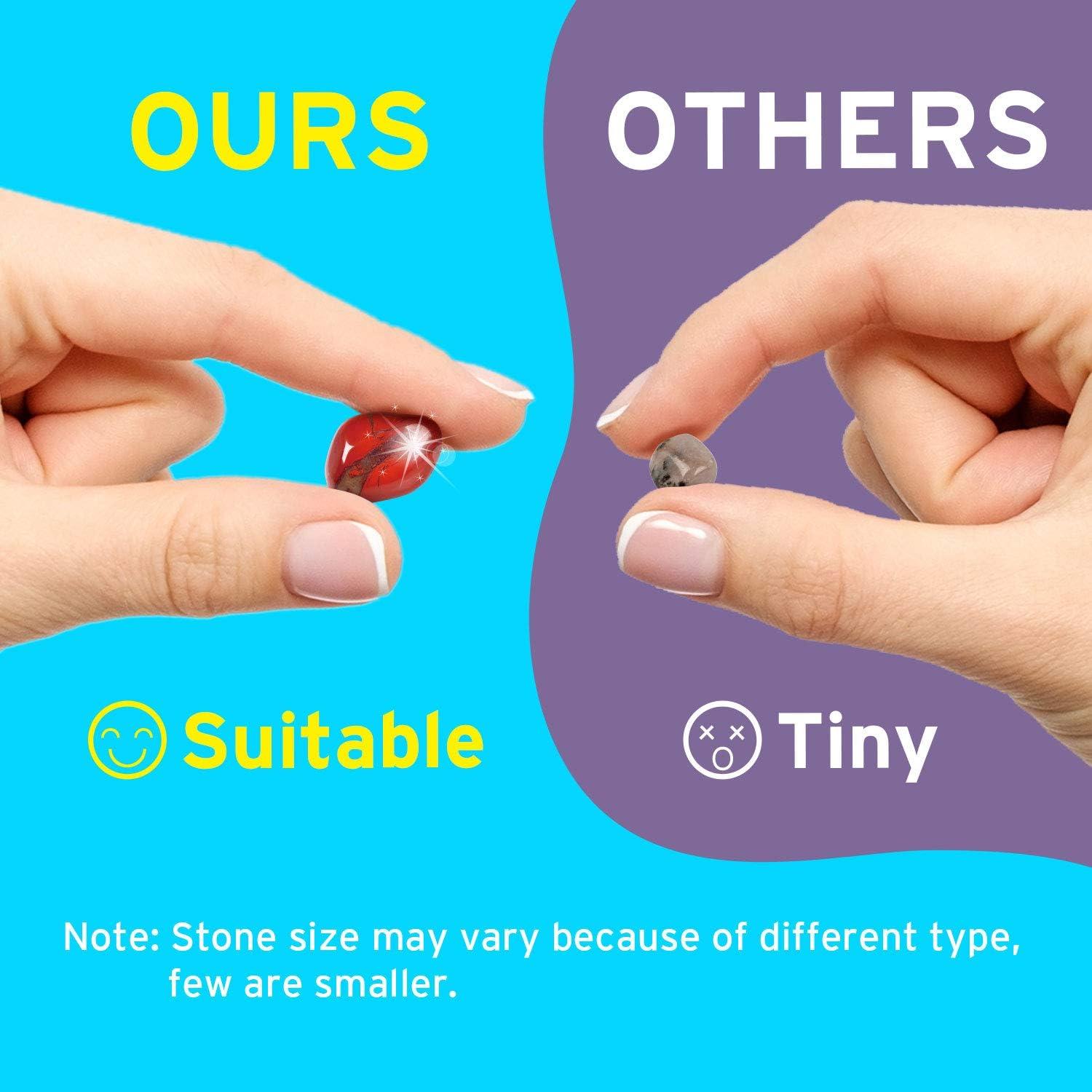 Kit de Geología XXTOYS 24 Piezas Rocas y Minerales para Niños