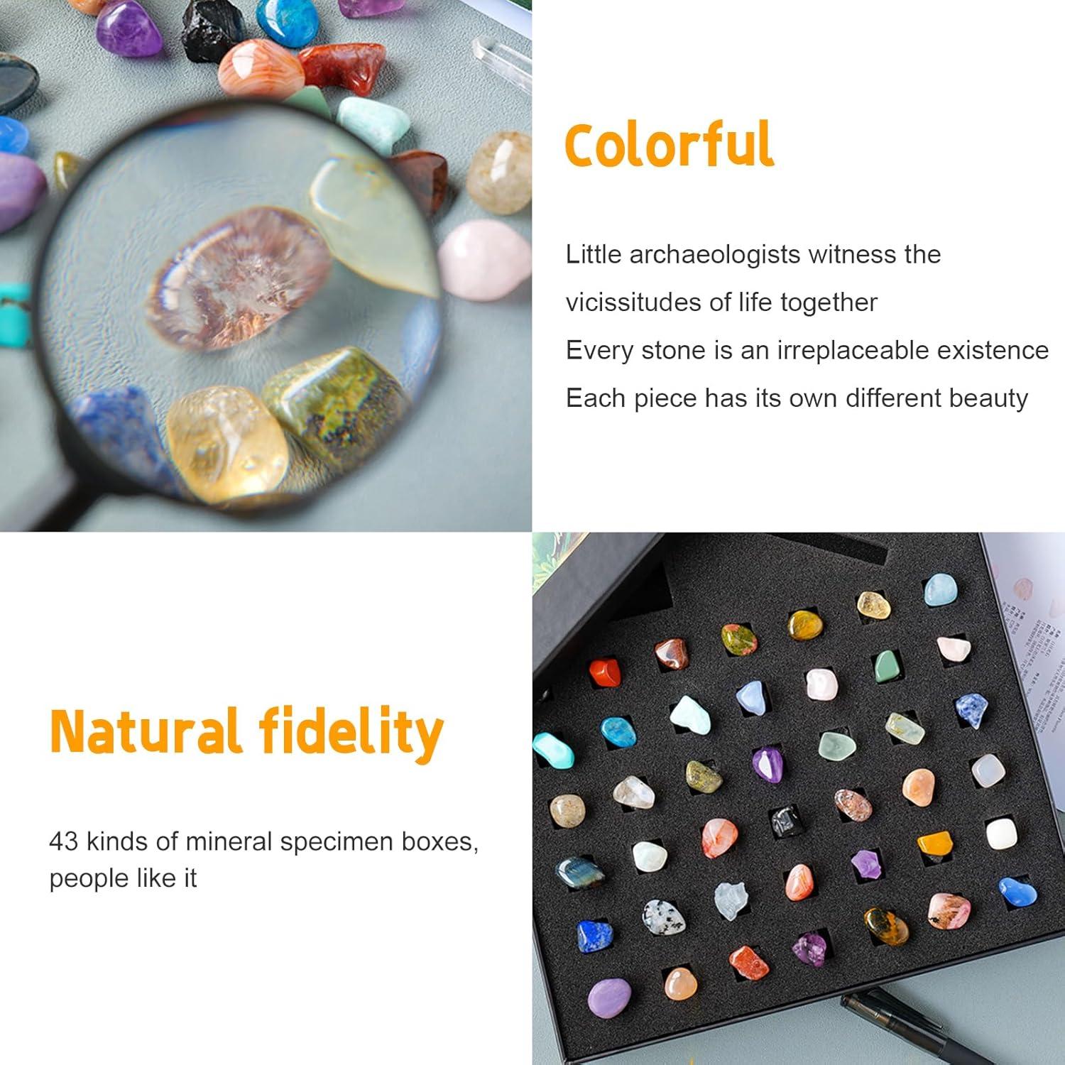 Kit de Rocas 43 Piezas Vbvbip con Herramientas de Geología