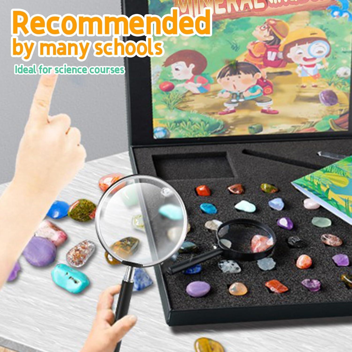 Kit de Rocas 43 Piezas Vbvbip con Herramientas de Geología