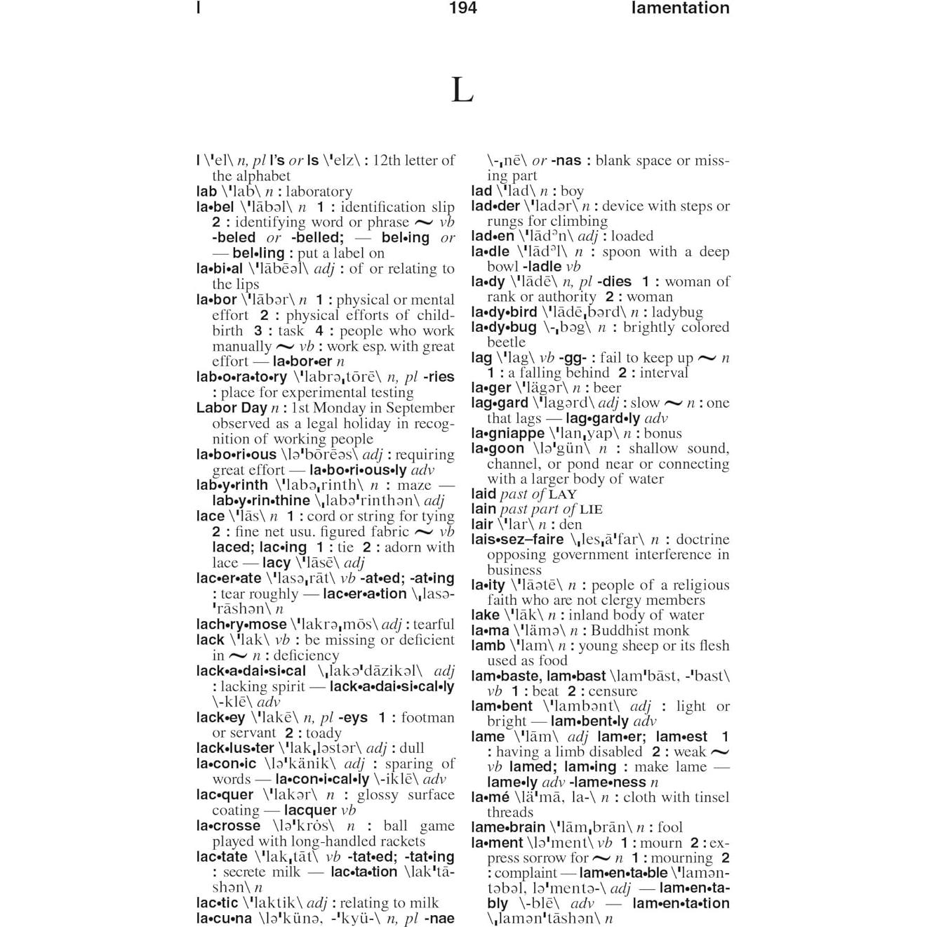 Webster's American English Dictionary, New Edition