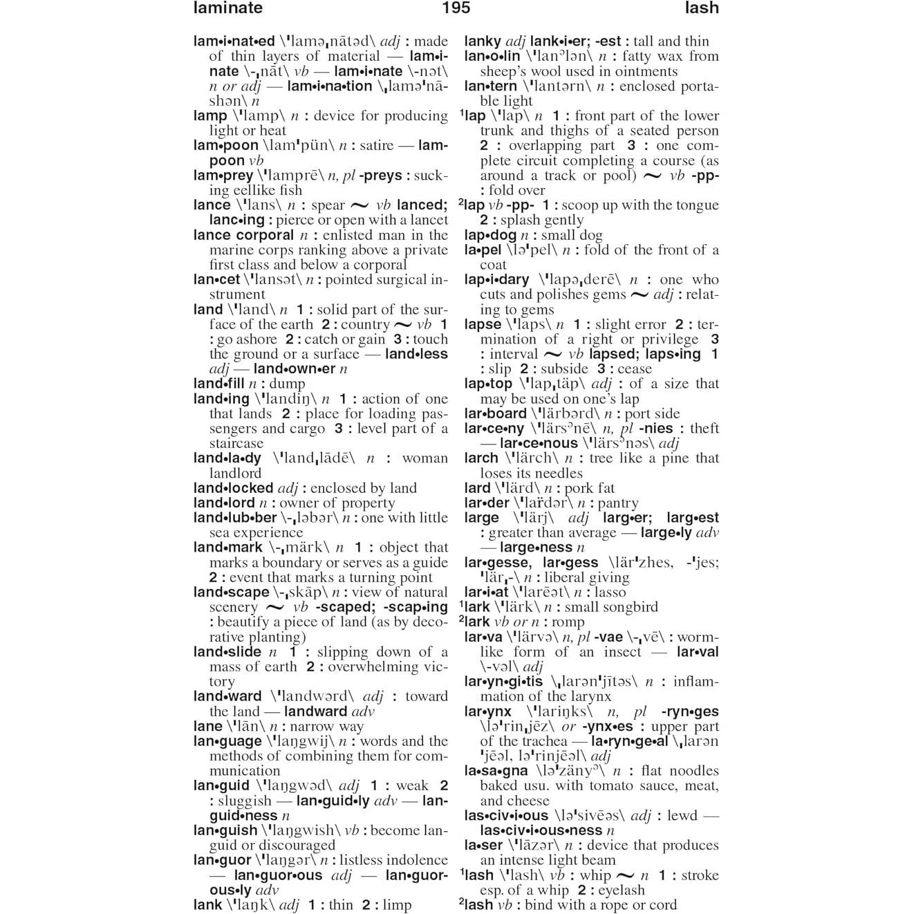 Webster's American English Dictionary, New Edition