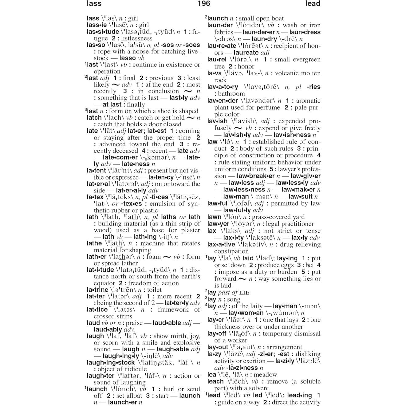 Webster's American English Dictionary, New Edition