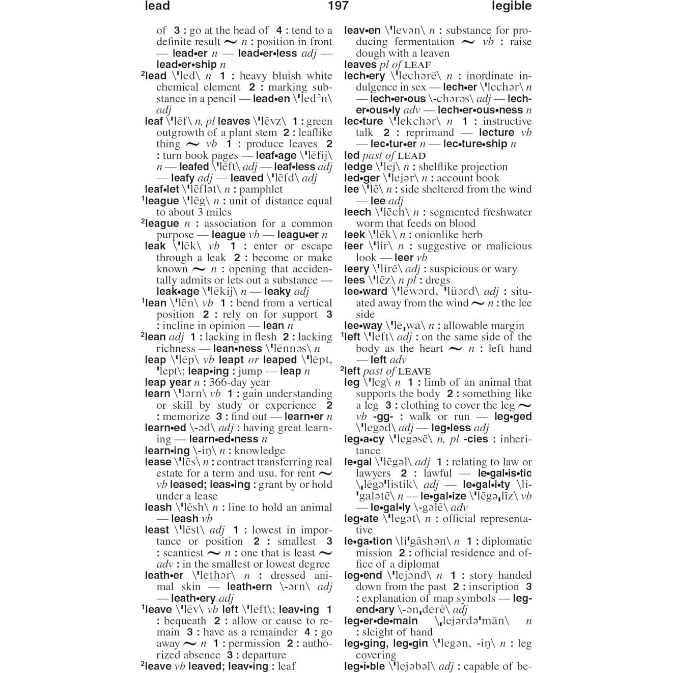 Webster's American English Dictionary, New Edition