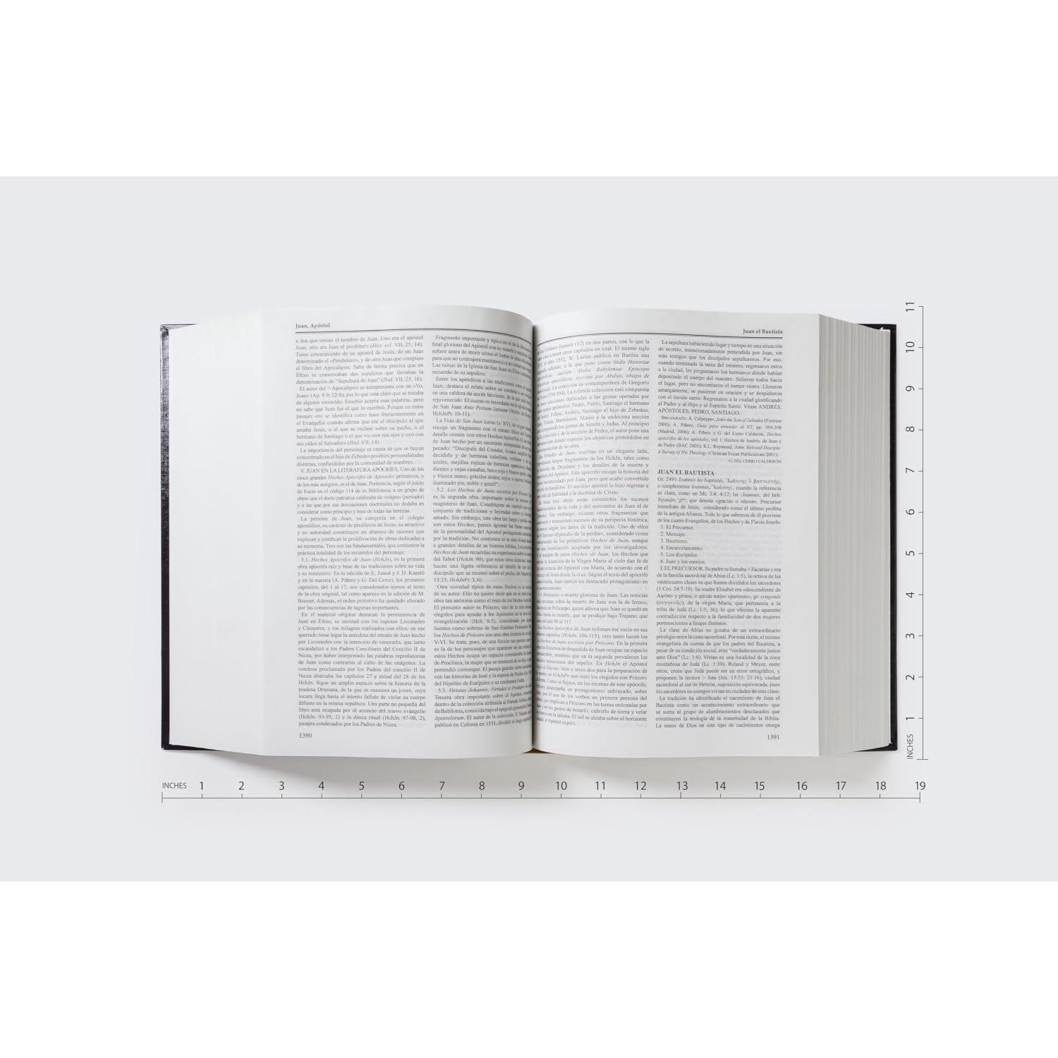 Gran diccionario enciclopédico de la Biblia (Spanish Edition)