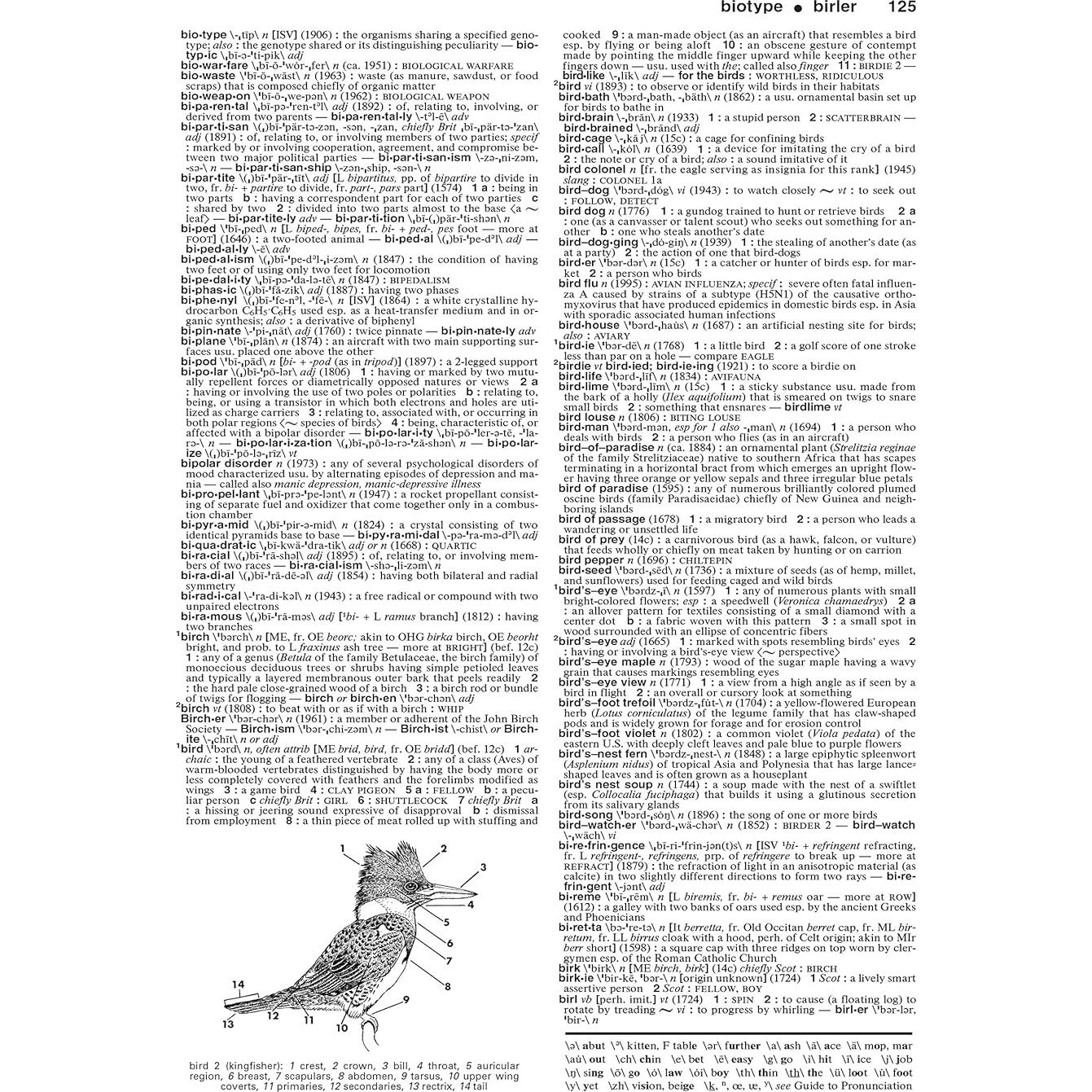 Merriam-Webster's Collegiate Dictionary, 11th Edition, Jacketed Hardcover, Indexed