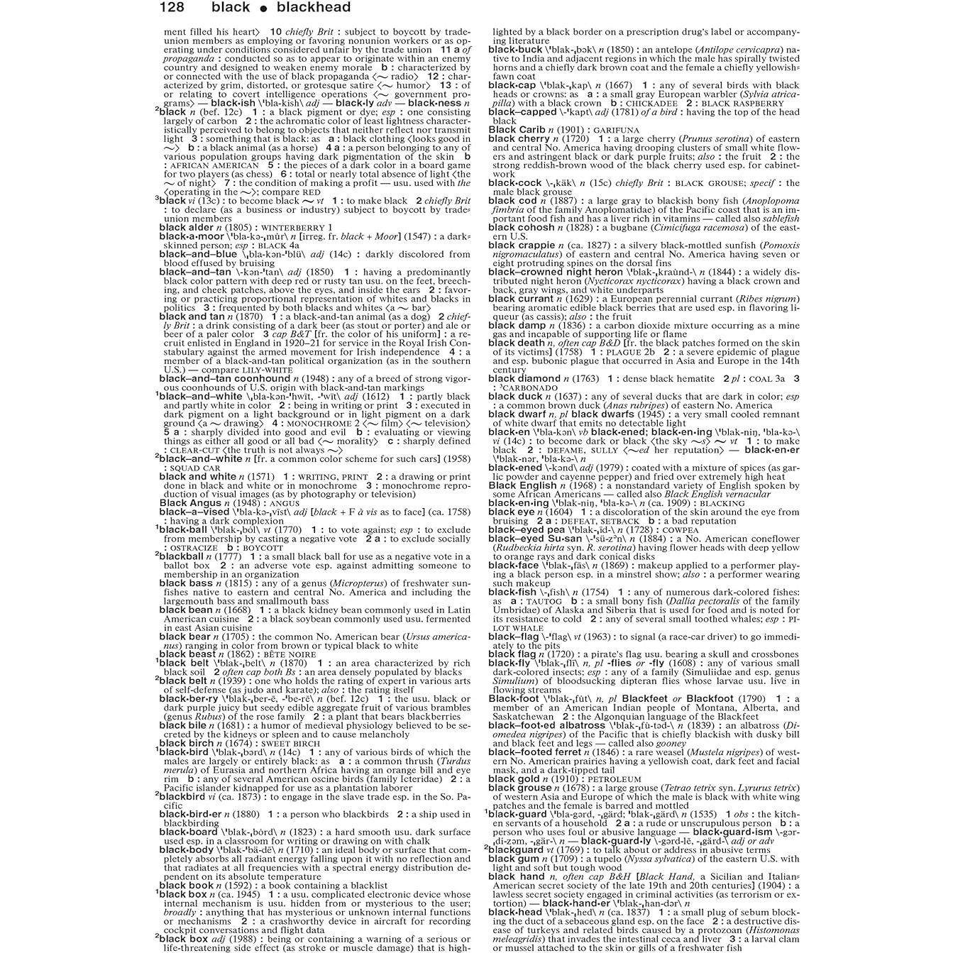 Merriam-Webster's Collegiate Dictionary, 11th Edition, Jacketed Hardcover, Indexed