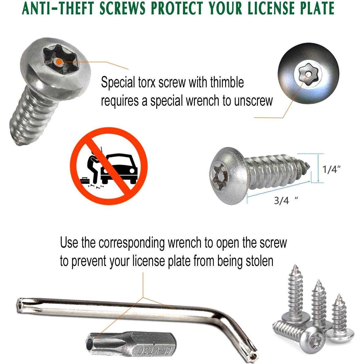 Tornillos Antirrobo M6 de Acero Inoxidable para Placas de Matrícula