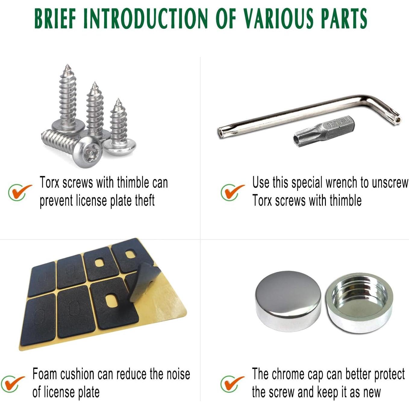 Tornillos Antirrobo M6 de Acero Inoxidable para Placas de Matrícula