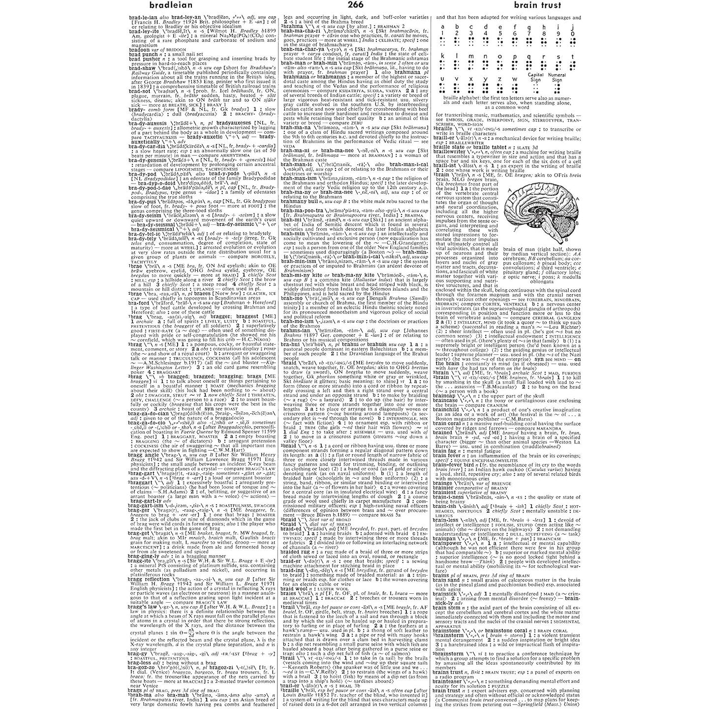 Webster's Third New International Dictionary, Unabridged