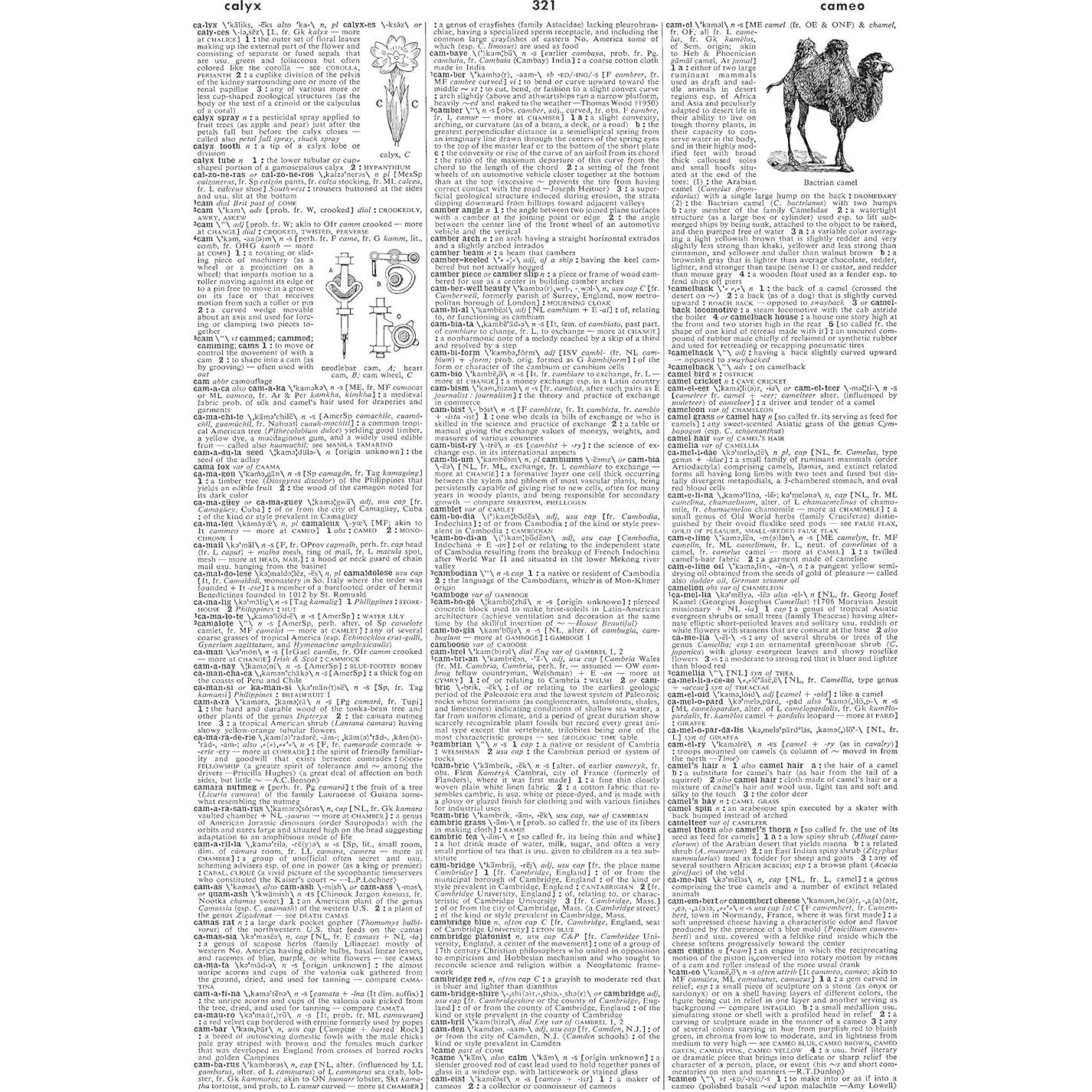 Webster's Third New International Dictionary, Unabridged