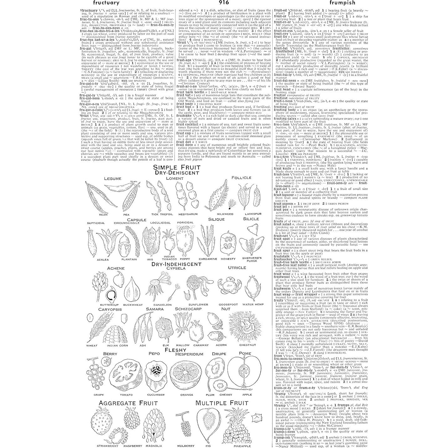 Webster's Third New International Dictionary, Unabridged