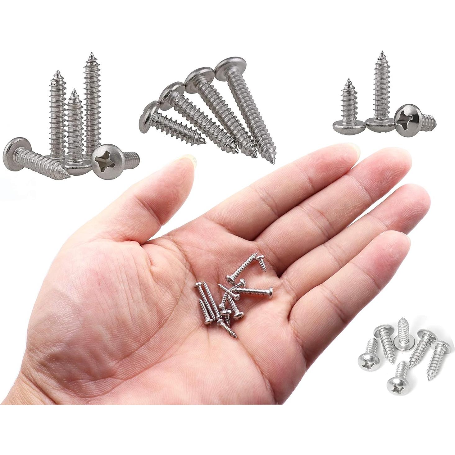 Kit de Tornillos Autoperforantes LBY 600 Piezas Acero Inoxidable