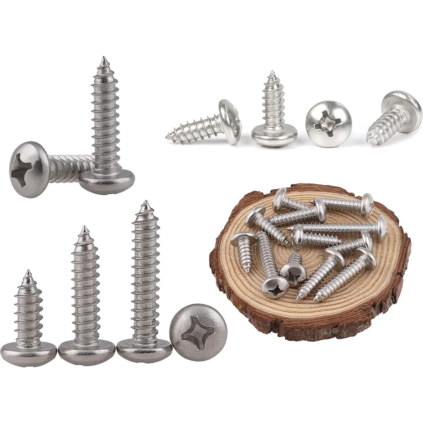 Kit de Tornillos Autoperforantes LBY 600 Piezas Acero Inoxidable