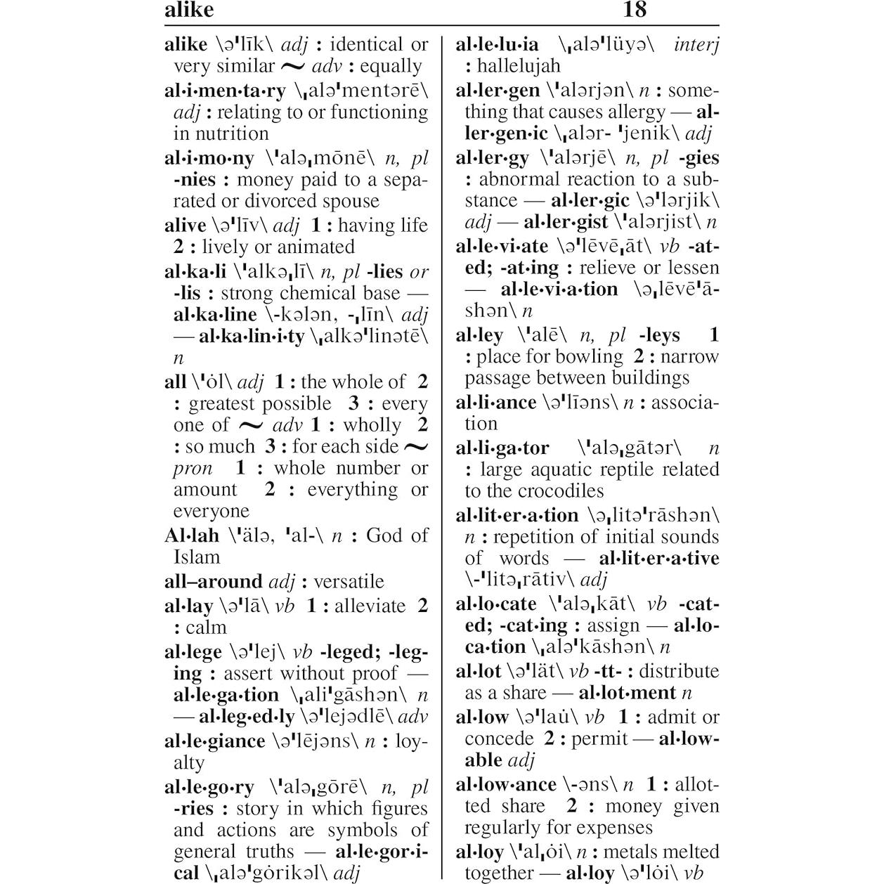 Webster's New Explorer Large Print Dictionary, Third Edition, Newest Edition