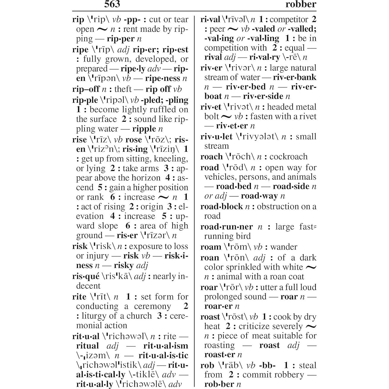 Webster's New Explorer Large Print Dictionary, Third Edition, Newest Edition