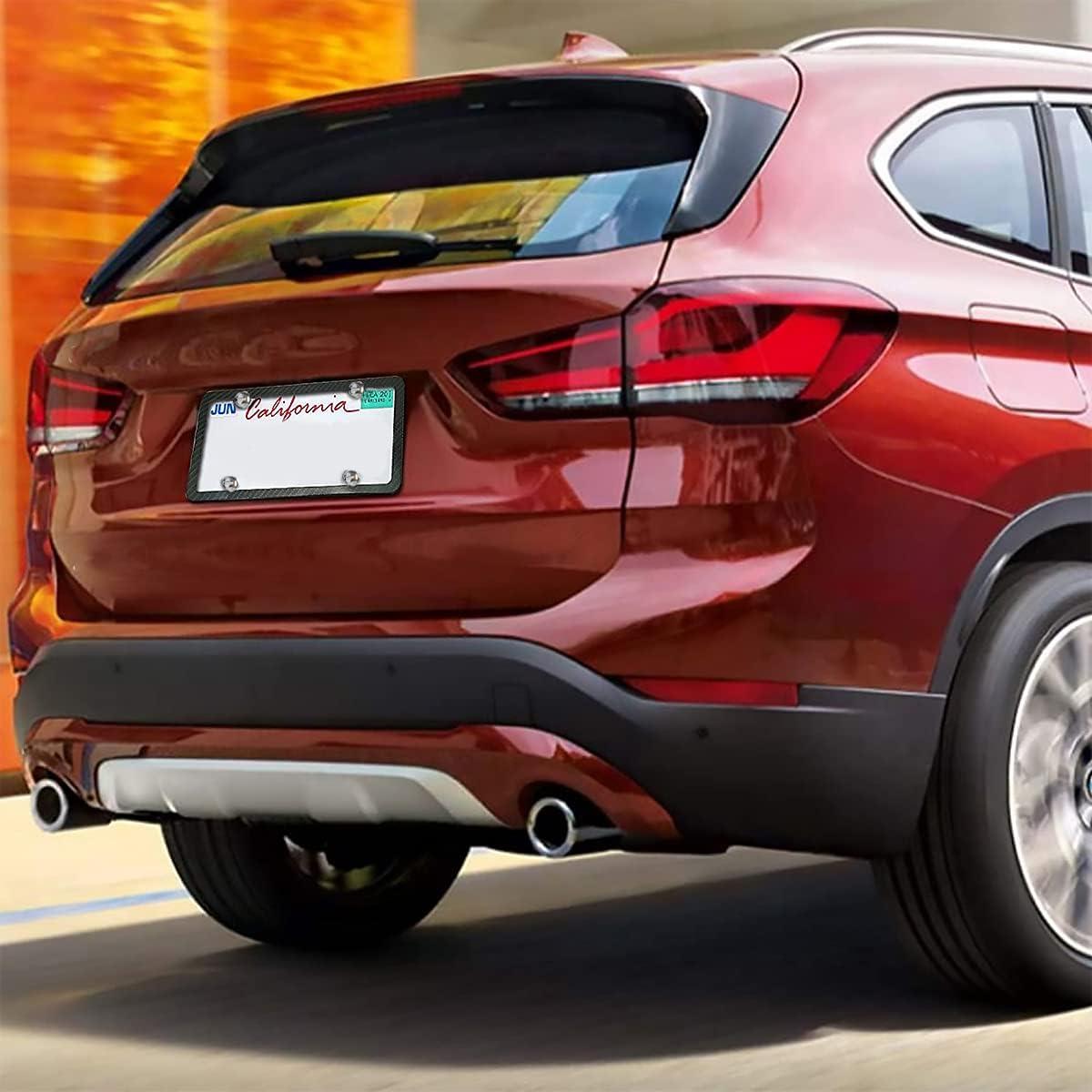 Tornillos Universales Moly Magnolia para Placas de Matrícula - 16 Piezas