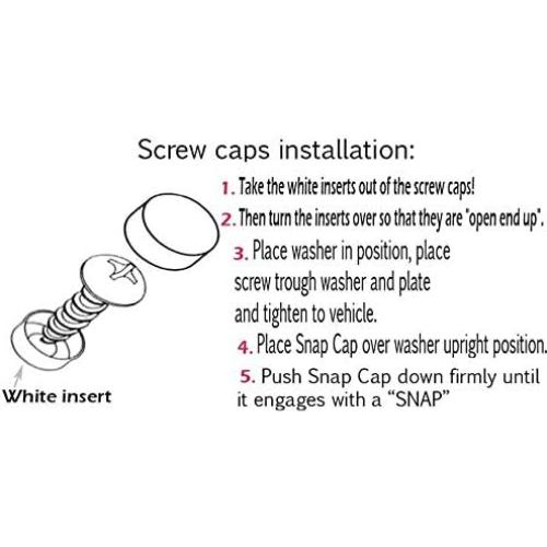 Tornillos de Acero Inoxidable LFPartS para Placas de Matrícula
