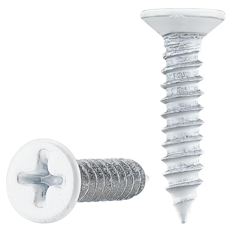 Tornillos de Acero Inoxidable Autoperforantes XQDWX 150 Unidades