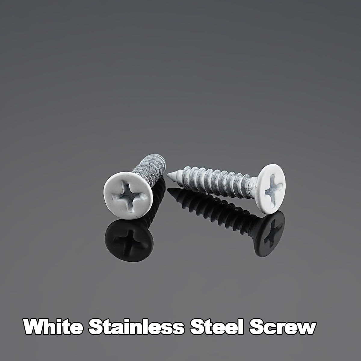 Tornillos de Acero Inoxidable Autoperforantes XQDWX 150 Unidades