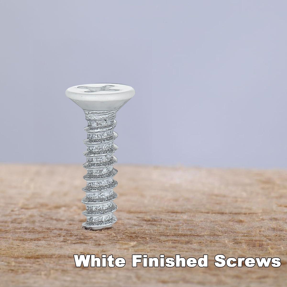 Tornillos de Acero Inoxidable Autoperforantes XQDWX 150 Unidades