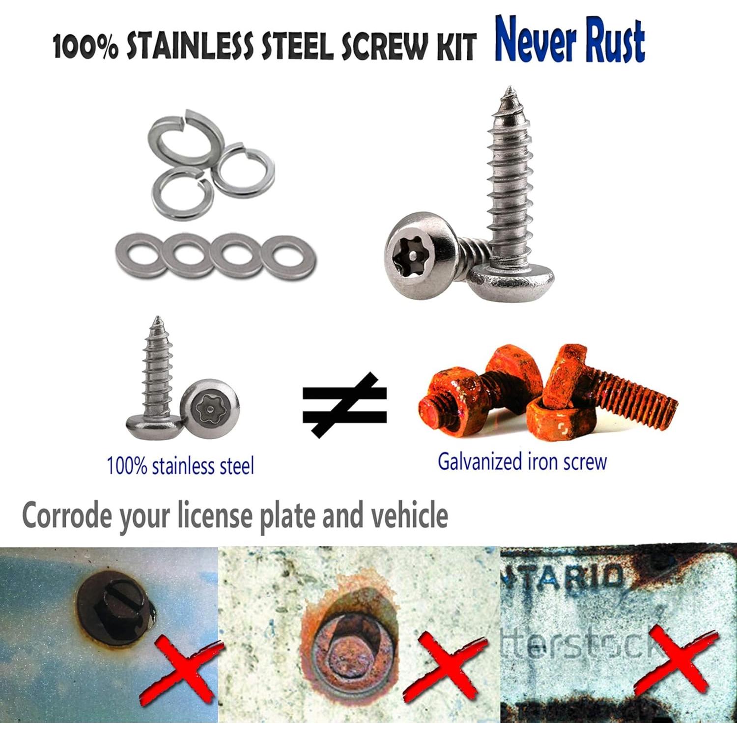 Tornillos Antirrobo Aootf para Placas de Matrícula - Acero Inoxidable, 8 Piezas