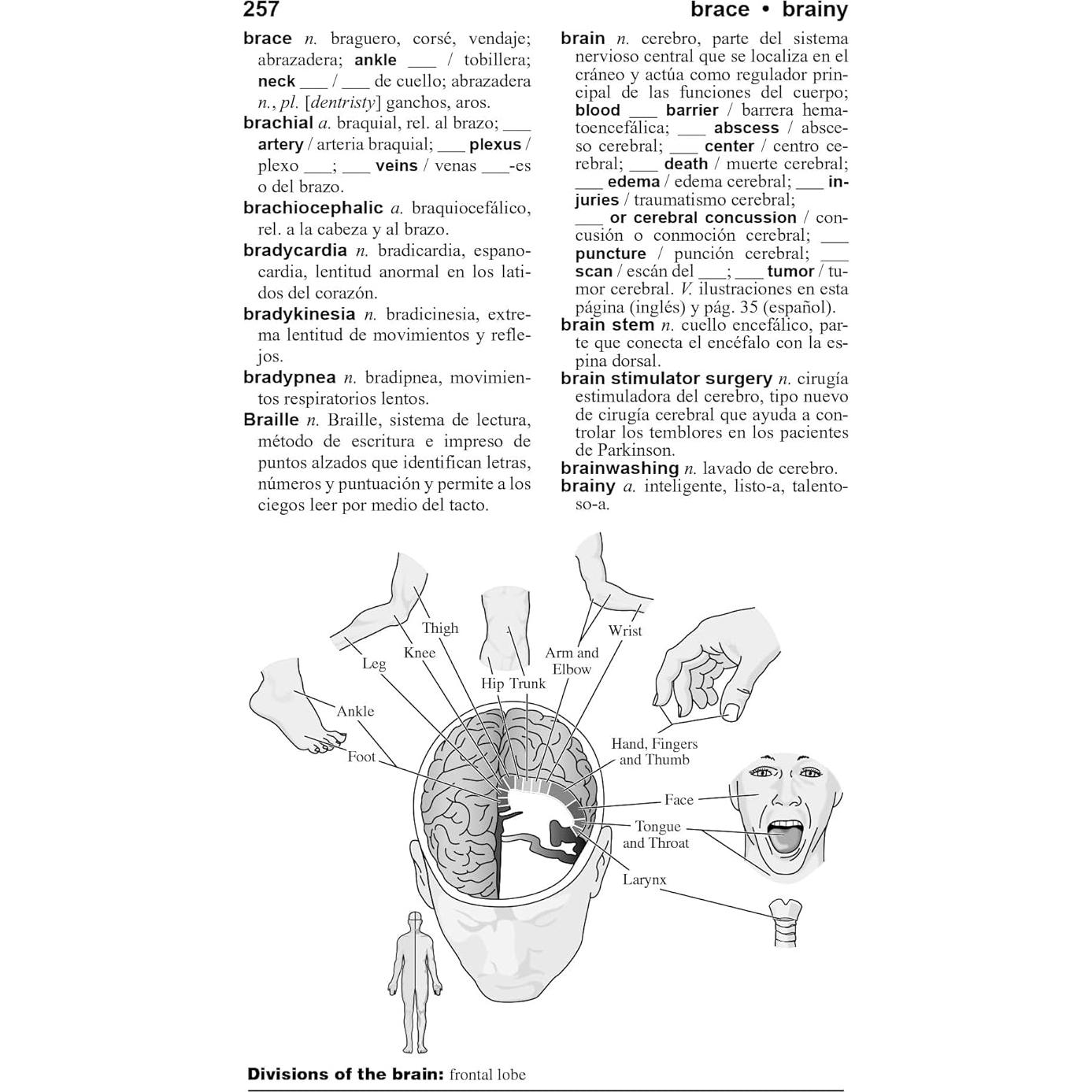 Merriam-Webster’s Spanish-English Medical Dictionary - Guide to Today’s Medical Language in English & Spanish (English and Spanish Edition)