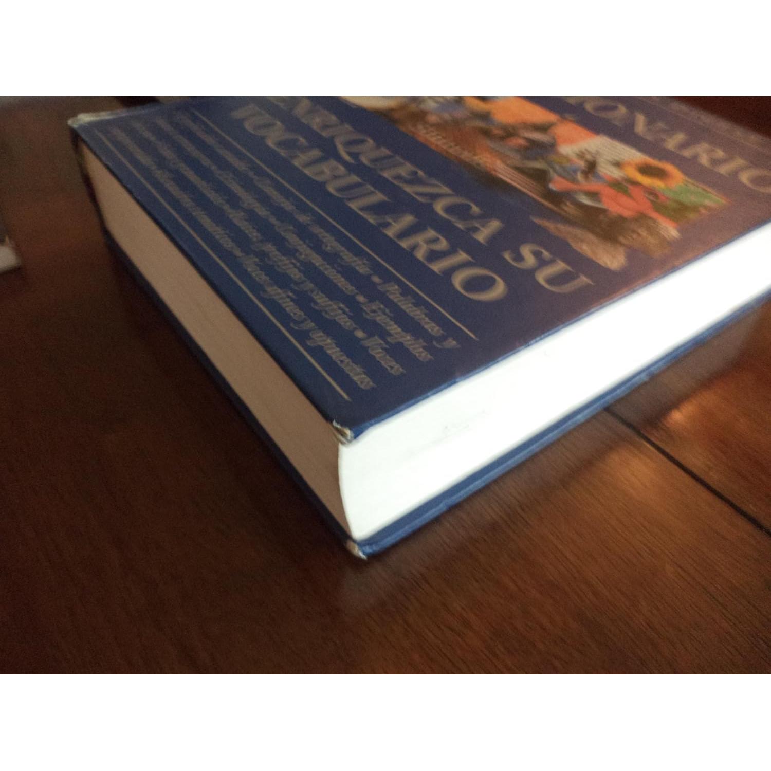 Diccionario: Enriquezca su Vocabulario (Spanish Edition)