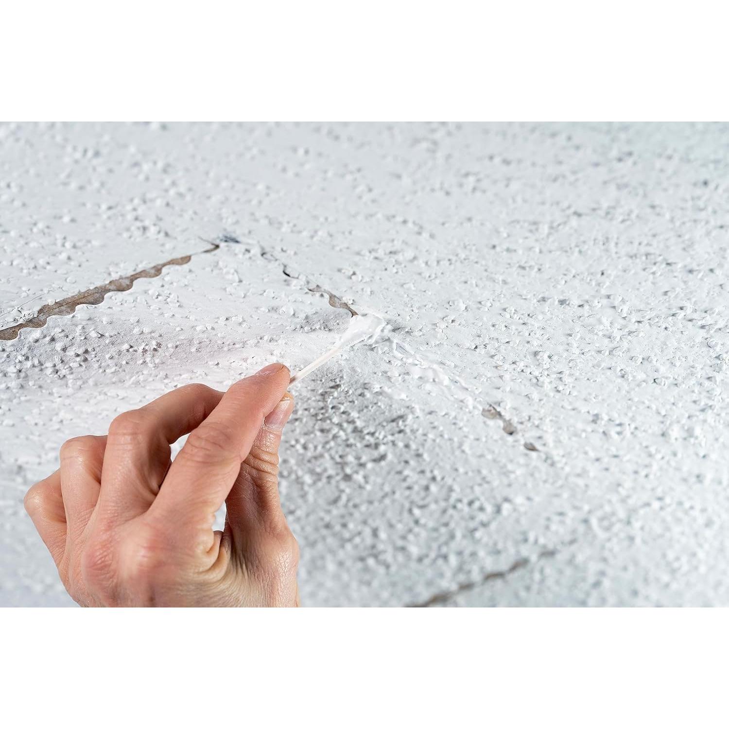 Kit de Reparación de Techos de Palomitas Hyde 09954 - 2 Parches 23x15 cm