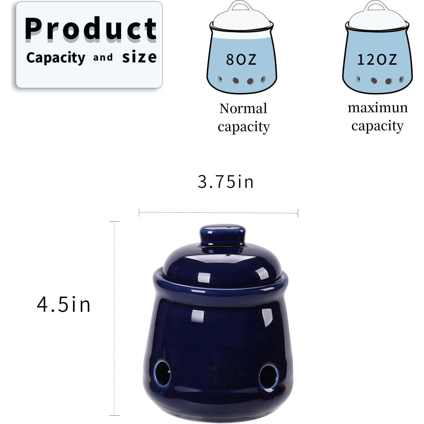 Conservador de Ajo Mini HAOTOP de Cerámica 340g con Tapa