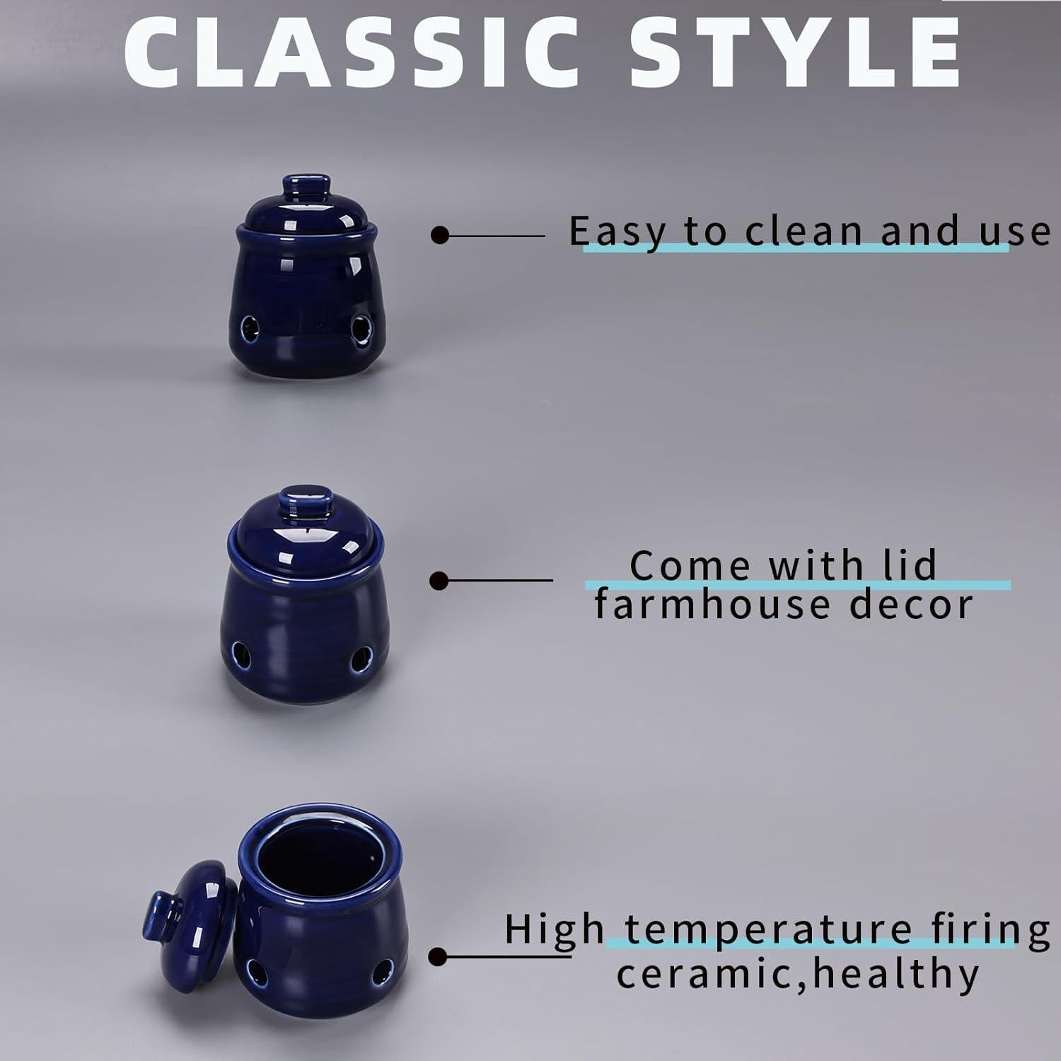 Conservador de Ajo Mini HAOTOP de Cerámica 340g con Tapa