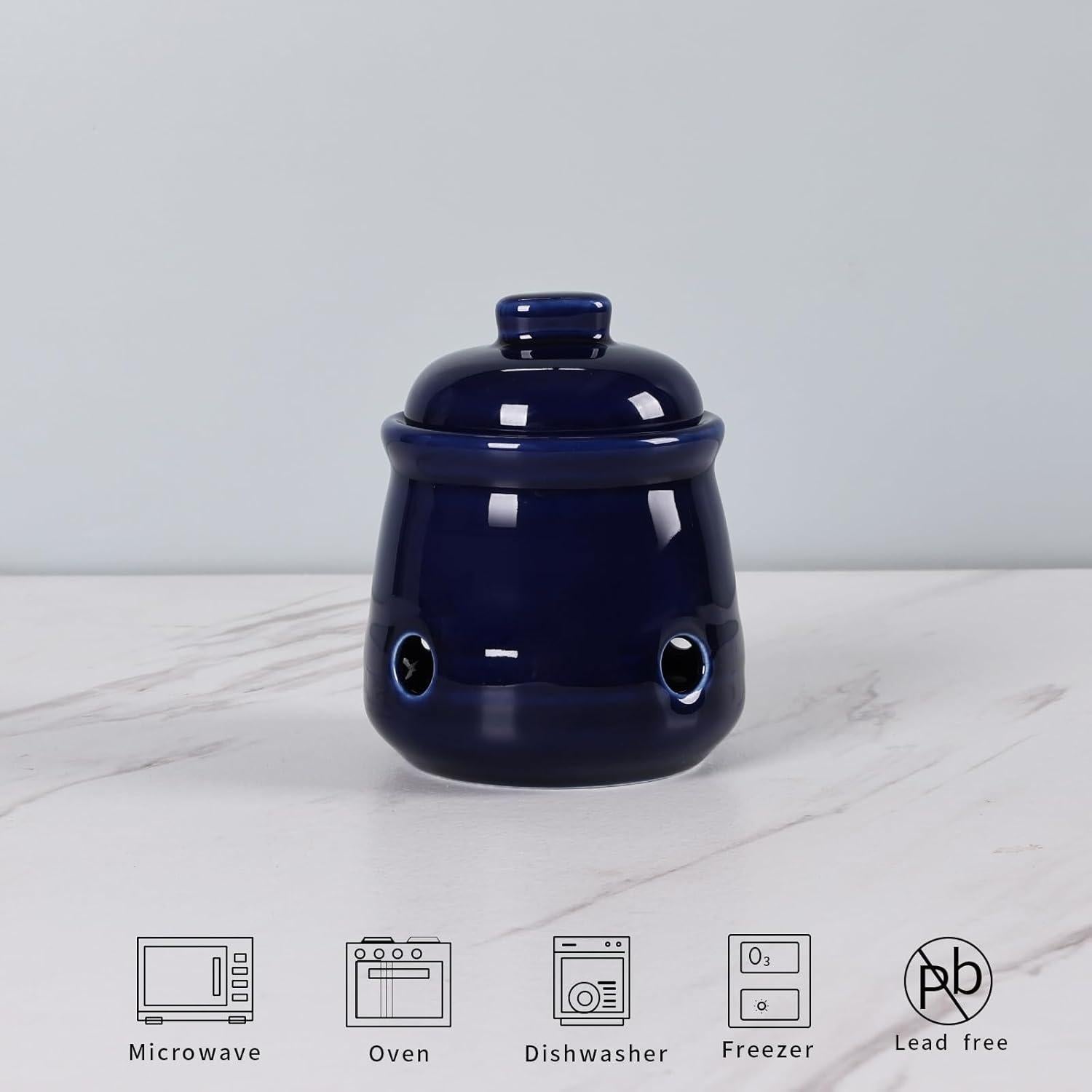 Conservador de Ajo Mini HAOTOP de Cerámica 340g con Tapa