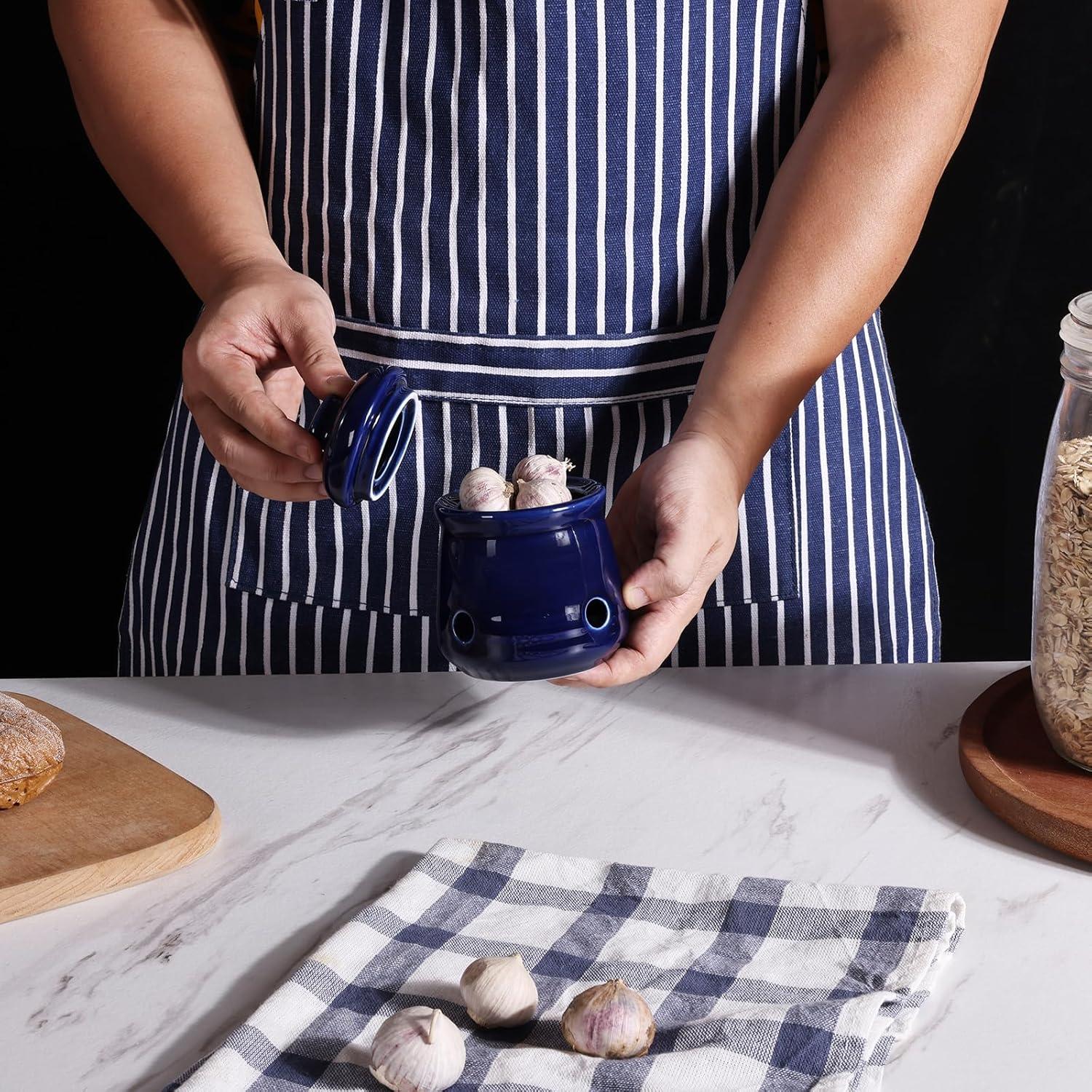 Conservador de Ajo Mini HAOTOP de Cerámica 340g con Tapa