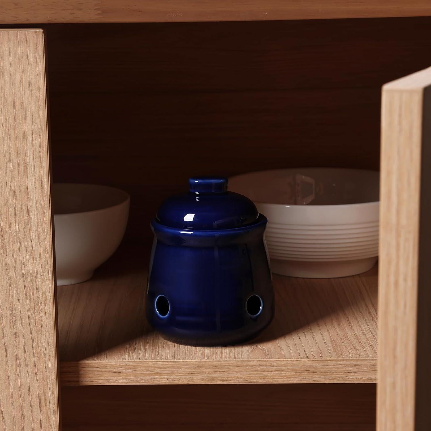 Conservador de Ajo Mini HAOTOP de Cerámica 340g con Tapa