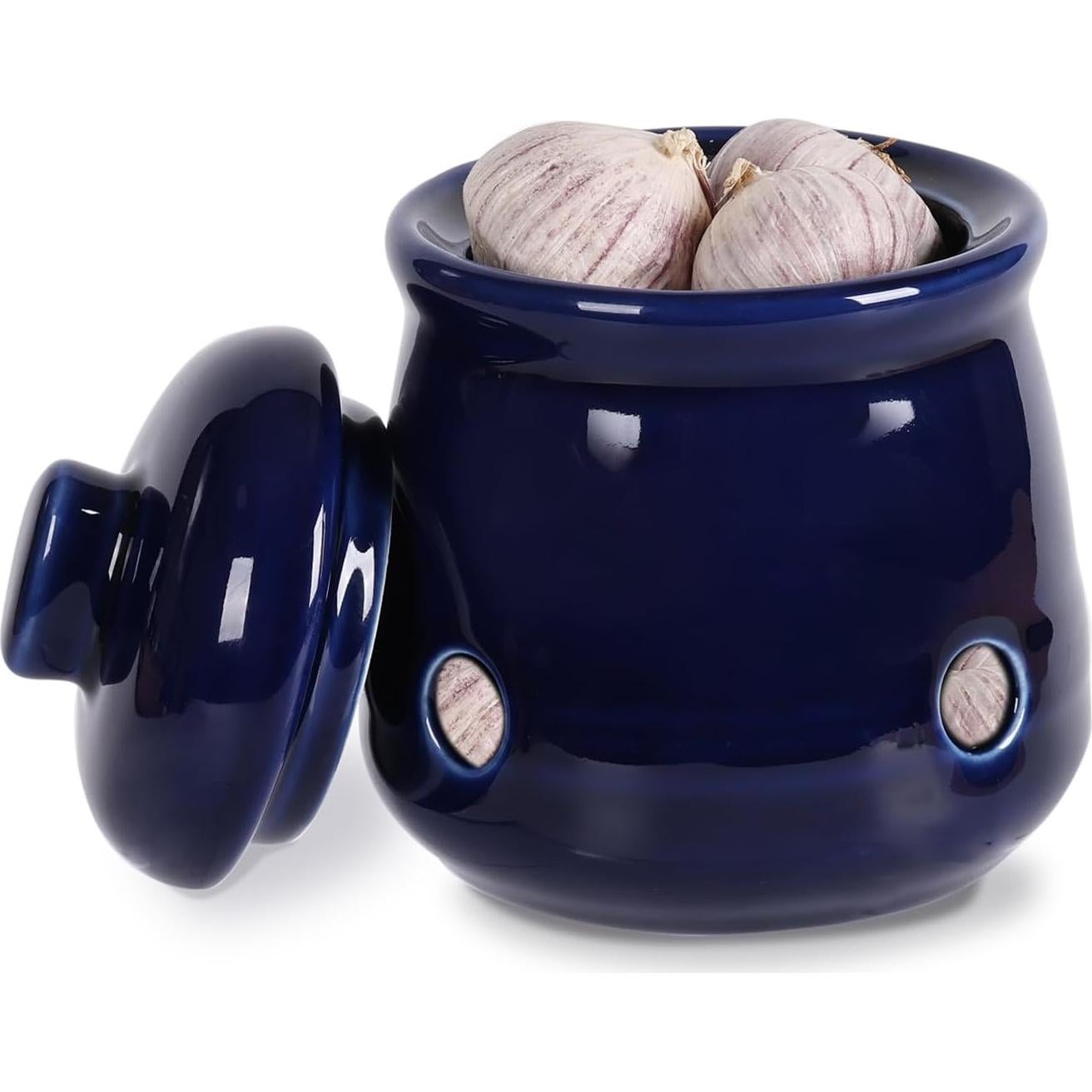 Conservador de Ajo Mini HAOTOP de Cerámica 340g con Tapa