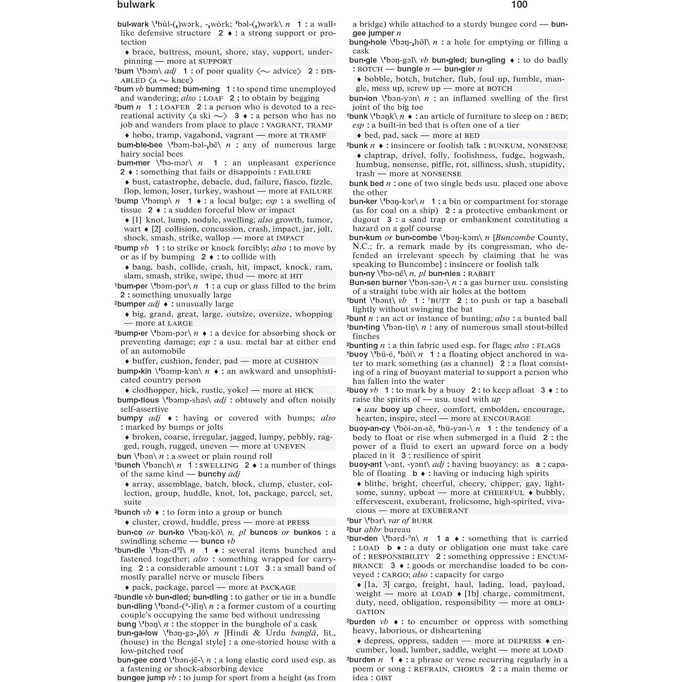 Merriam-Webster's Dictionary and Thesaurus, Newest Edition, Trade Paperback