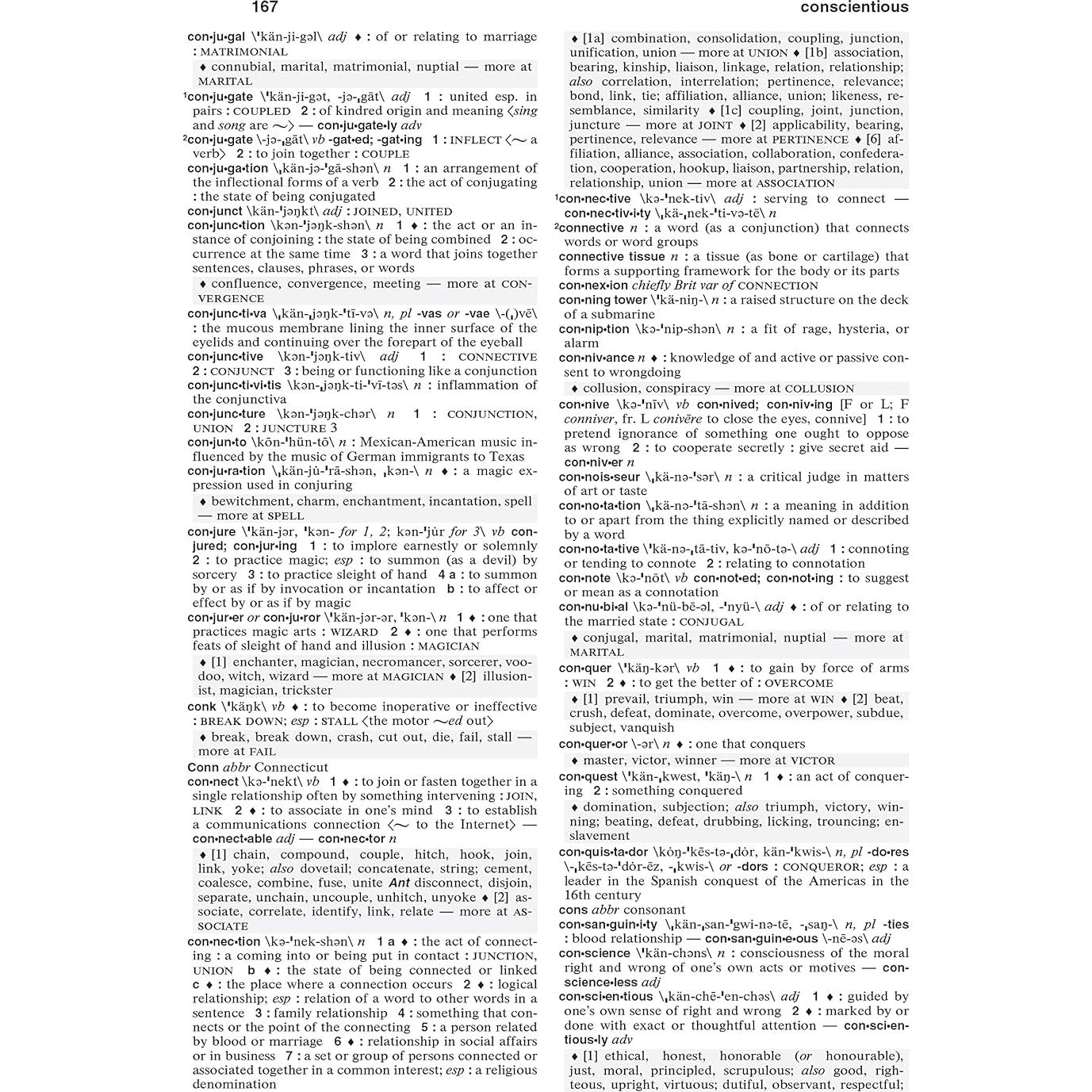 Merriam-Webster's Dictionary and Thesaurus, Newest Edition, Trade Paperback