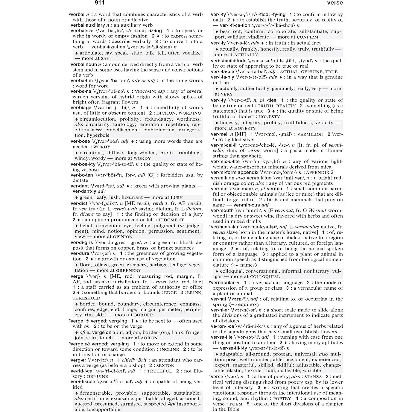 Merriam-Webster's Dictionary and Thesaurus, Newest Edition, Trade Paperback