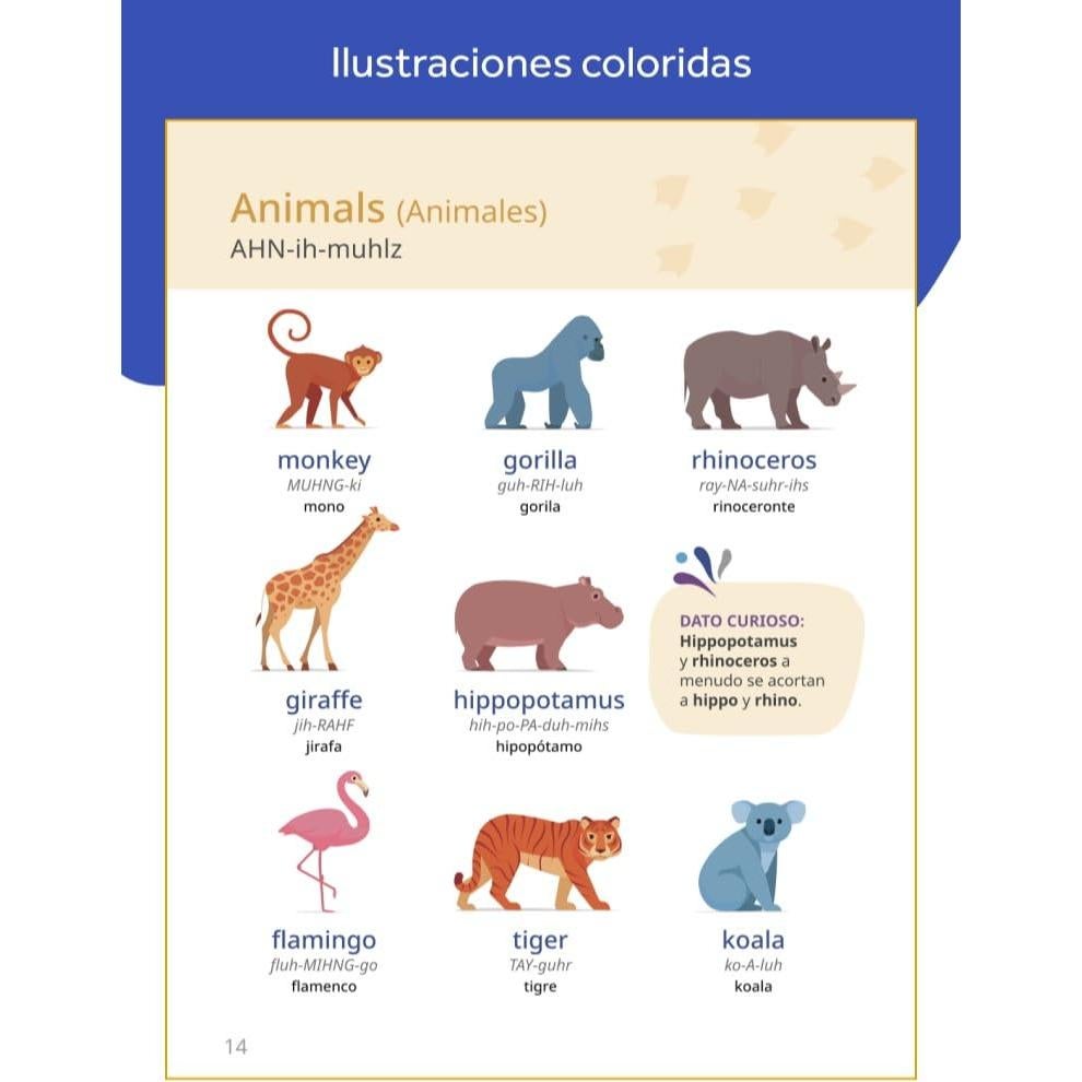 Rosetta Stone Inglés: Diccionario visual (Rosetta Stone Picture Dictionaries) (English and Spanish Edition)