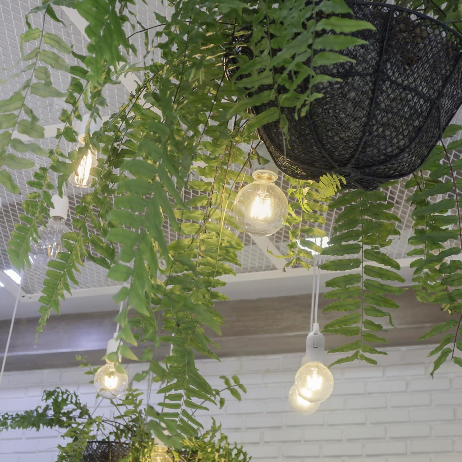 Cordón de Luz Colgante Zarnicy 4.88 m E26/E27 Blanco 2 Paquete