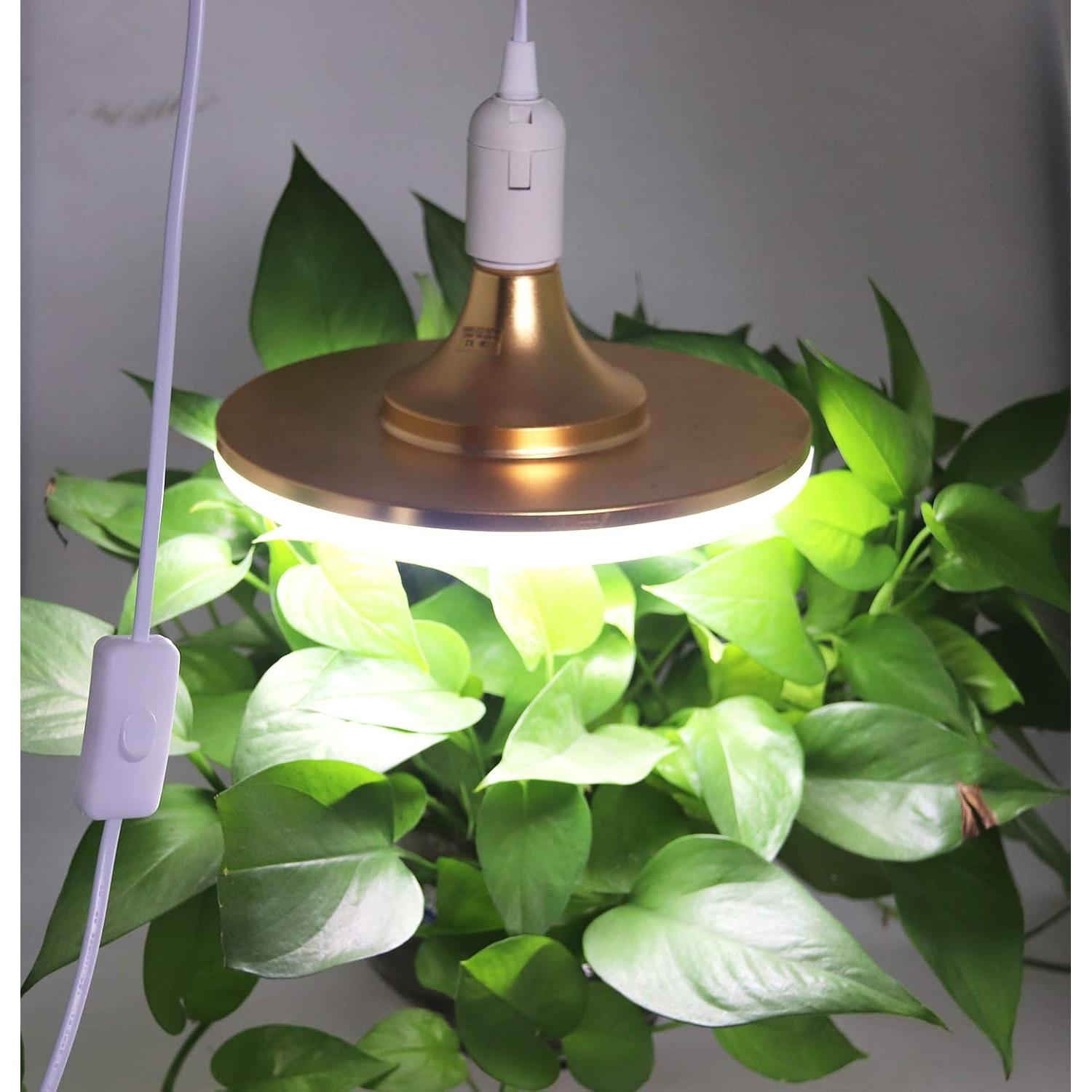 Enchufe de Luz Colgante Rextin E26/E27 6.5m con Interruptor