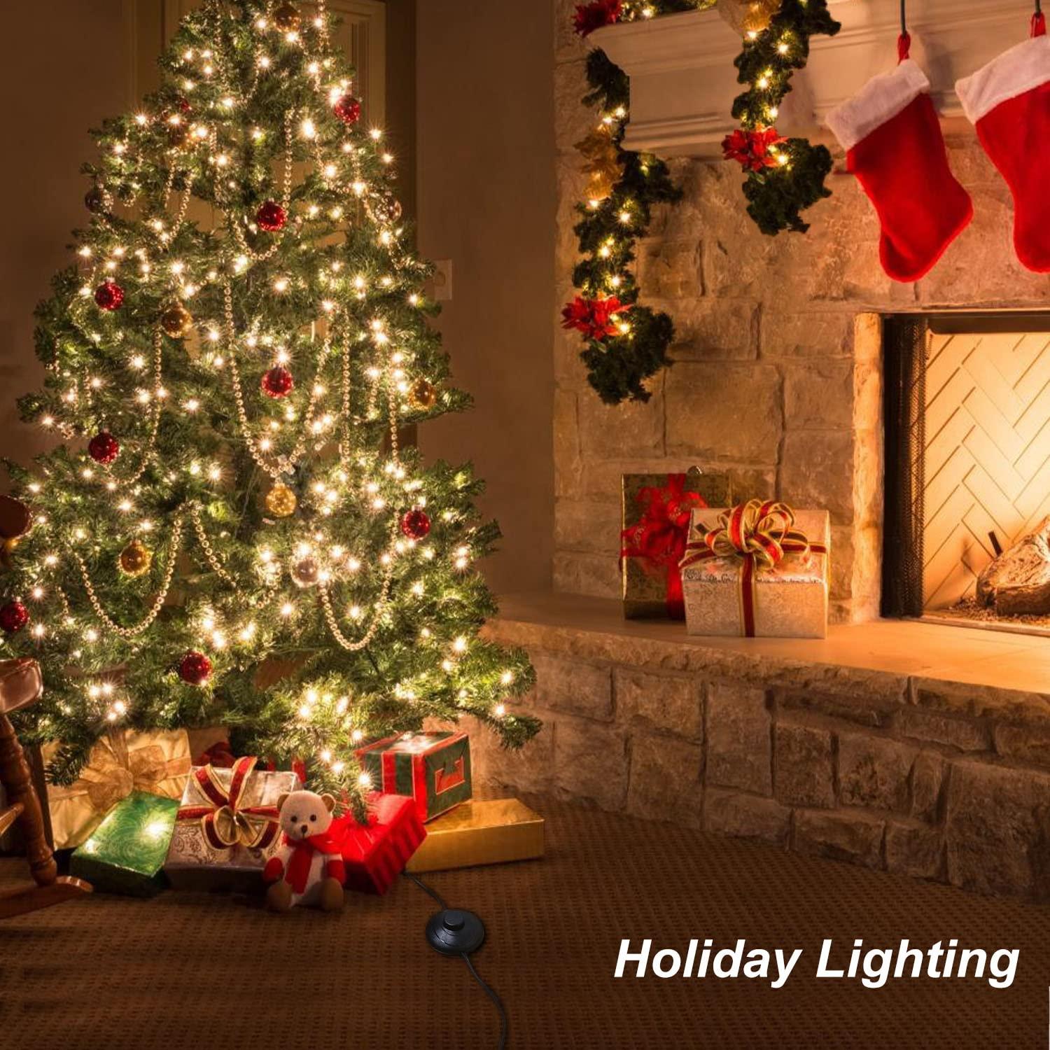 Interruptor de Pedal Weideer con Cable de Extensión 1.83m