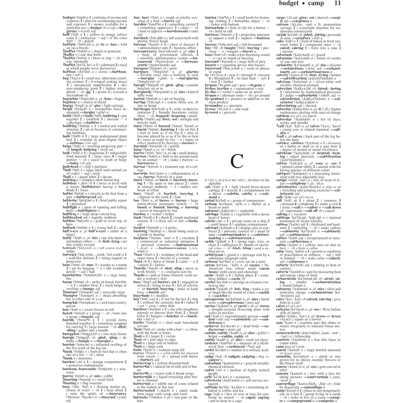 Merriam-Webster’s Notebook Dictionary - Designed for Students - Fits in a 3-ring Binder