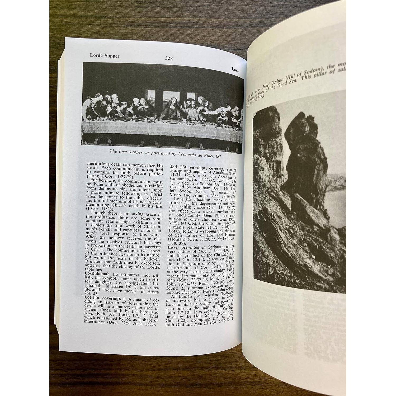 Zondervan Compact Bible Dictionary: A-to-Z Pocket Dictionary with Over 5,000 Entries (Classic Compact Series)