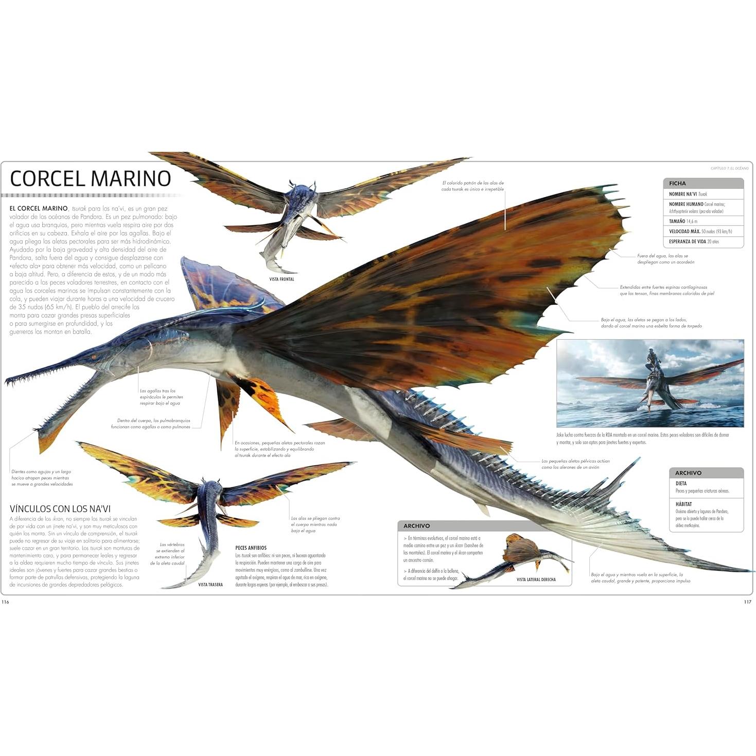 Avatar: El camino del agua. Diccionario visual (Avatar The Way of Water The Visual Dictionary) (Spanish Edition)